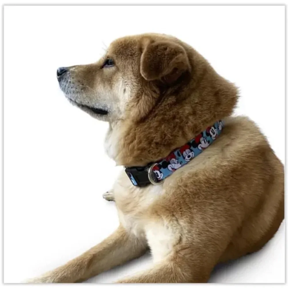 COPY - Disney Minnie Mouse Faces Blue Dog Collar Adjustable small